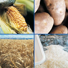 Industria biopolimeros